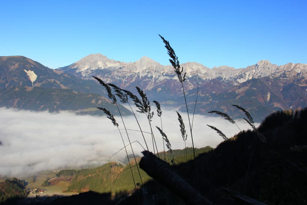 Admont-Hall-Nebel