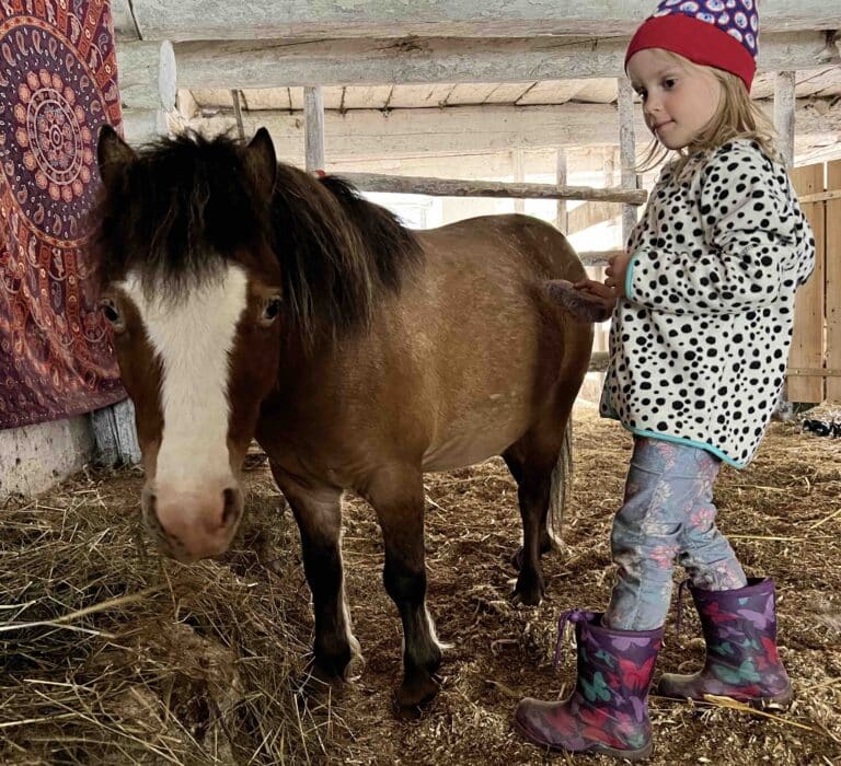 Bruno-Emilia