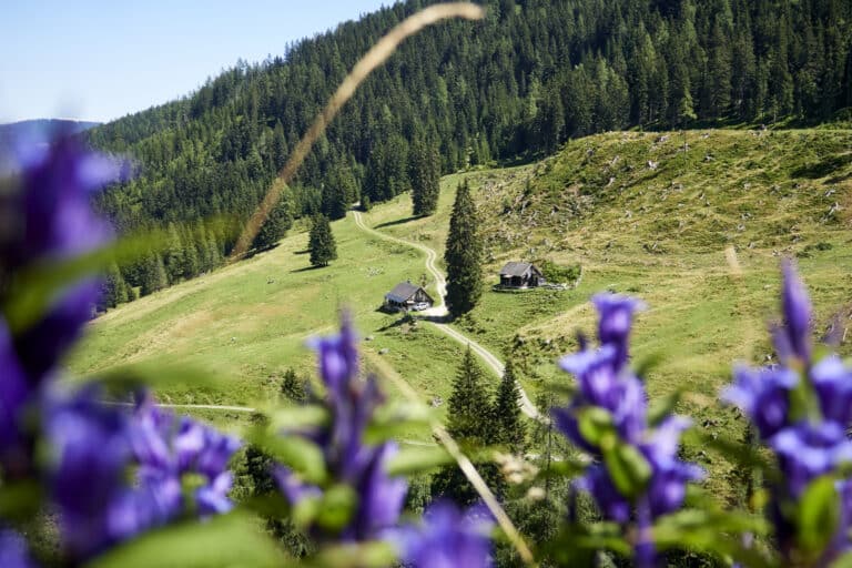MOSERALM 90